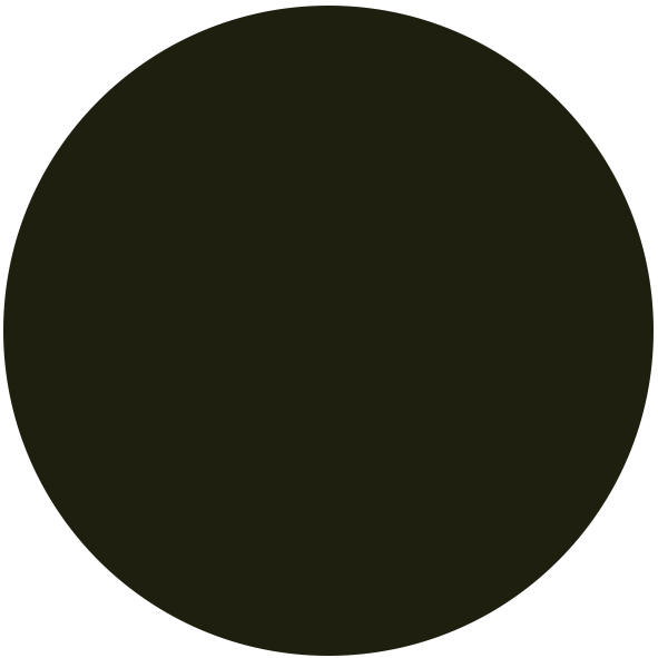 Color swatch 499 Noir Nuancier